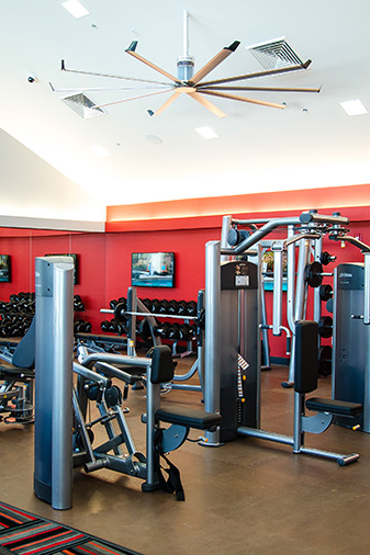 The_AVE__Gym